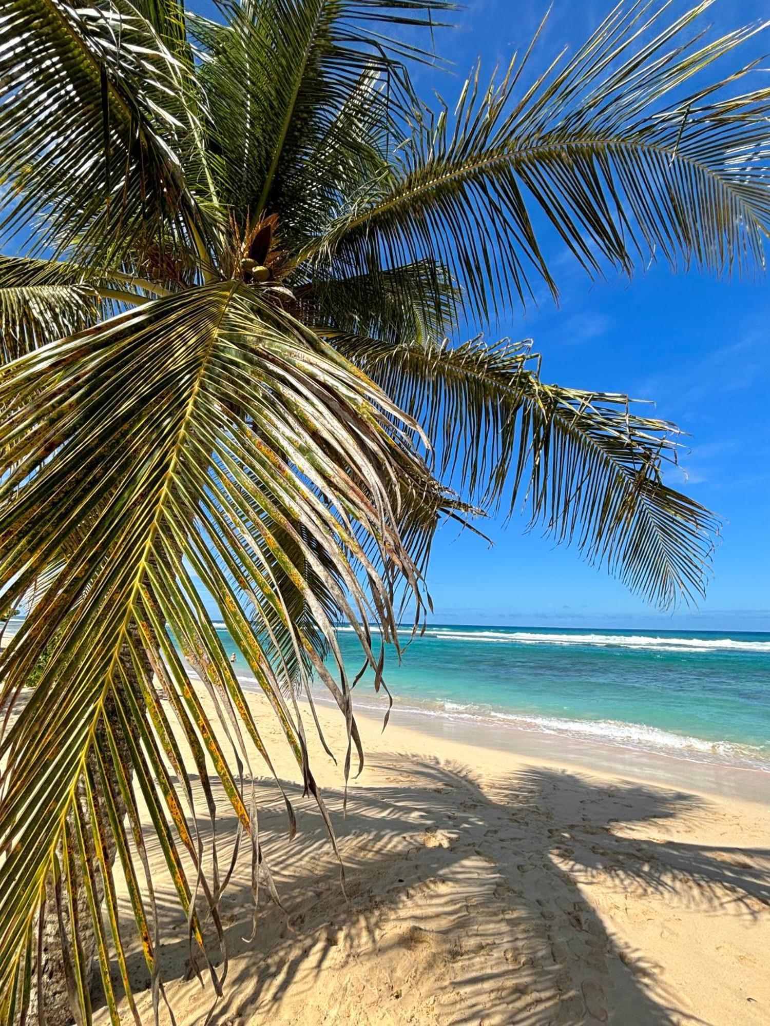 Villa Lavann Wouj - Proche Des Plages Et Du Bourg à Anse-Bertrand Extérieur photo