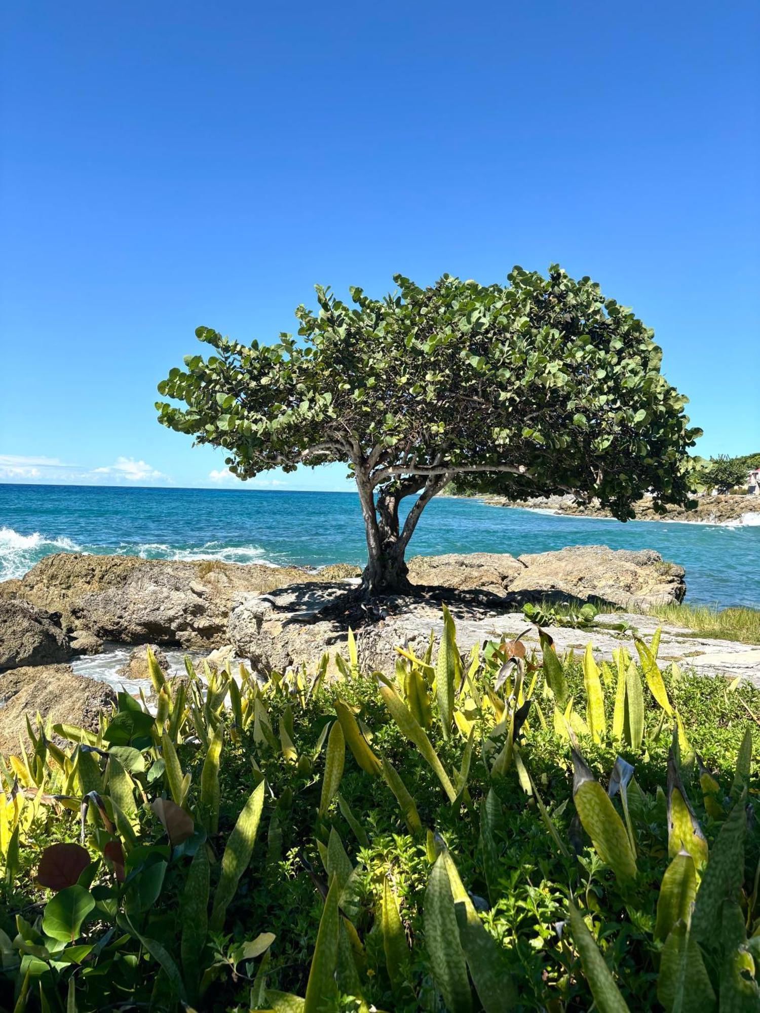 Villa Lavann Wouj - Proche Des Plages Et Du Bourg à Anse-Bertrand Extérieur photo